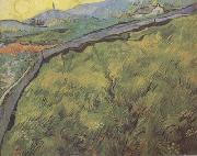 Vincent Van Gogh Field of Spring Wheat at Sunrise (nn04) Spain oil painting reproduction